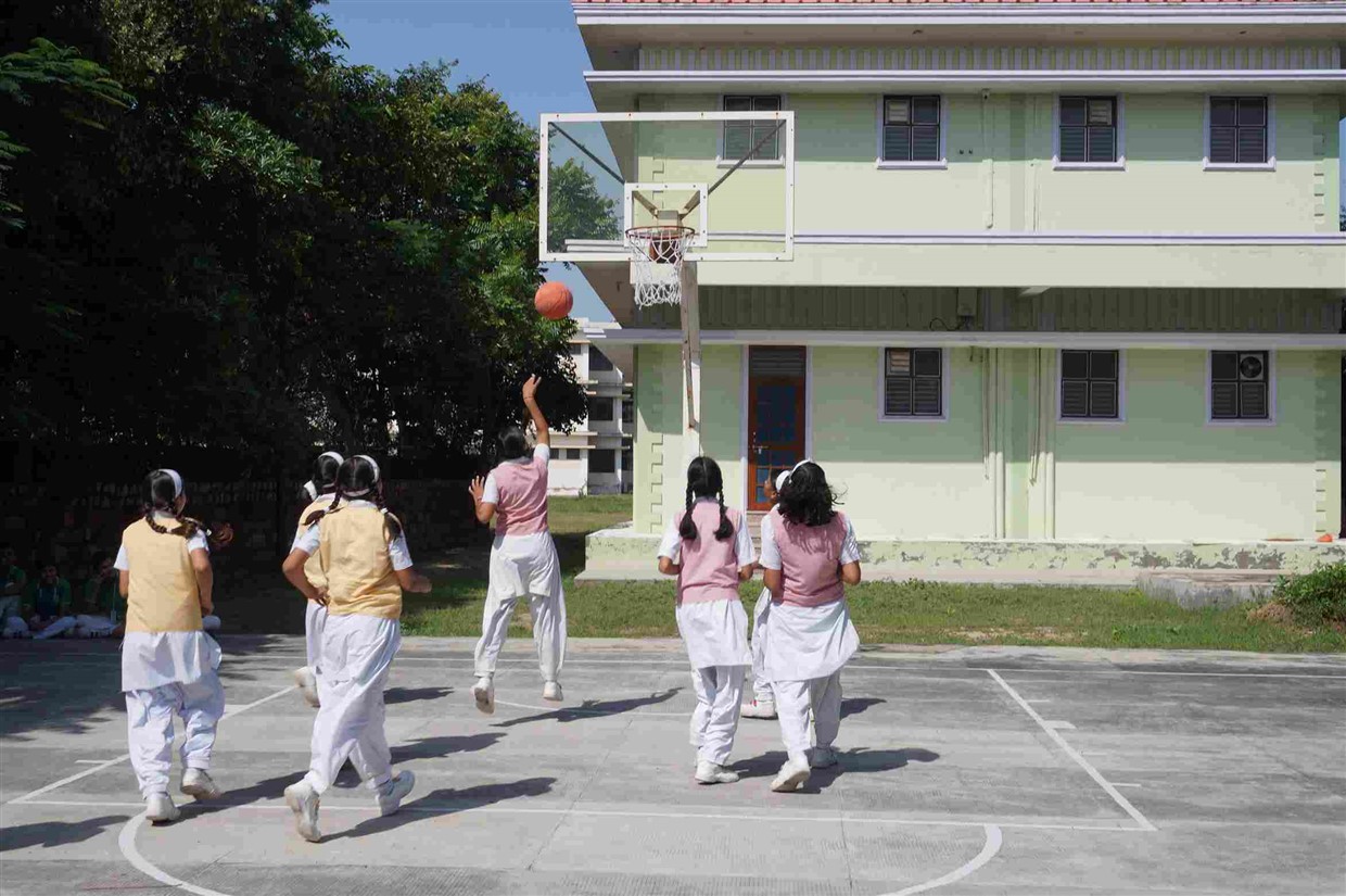 Basketball Court